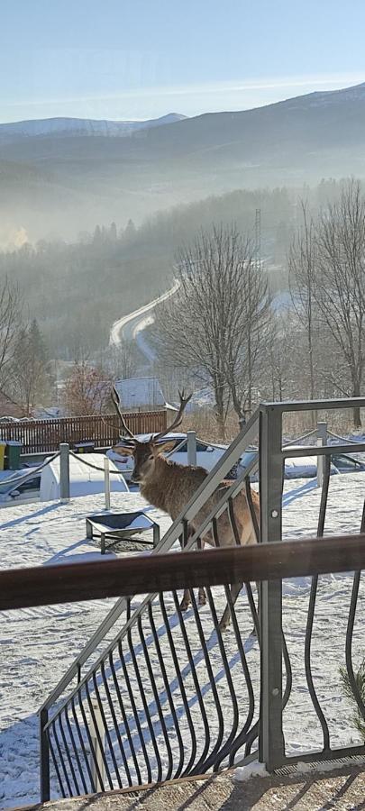 Domki Na Skale Z Widokiem Na Panorame Karkonoszy Villa Szklarska Poręba Buitenkant foto