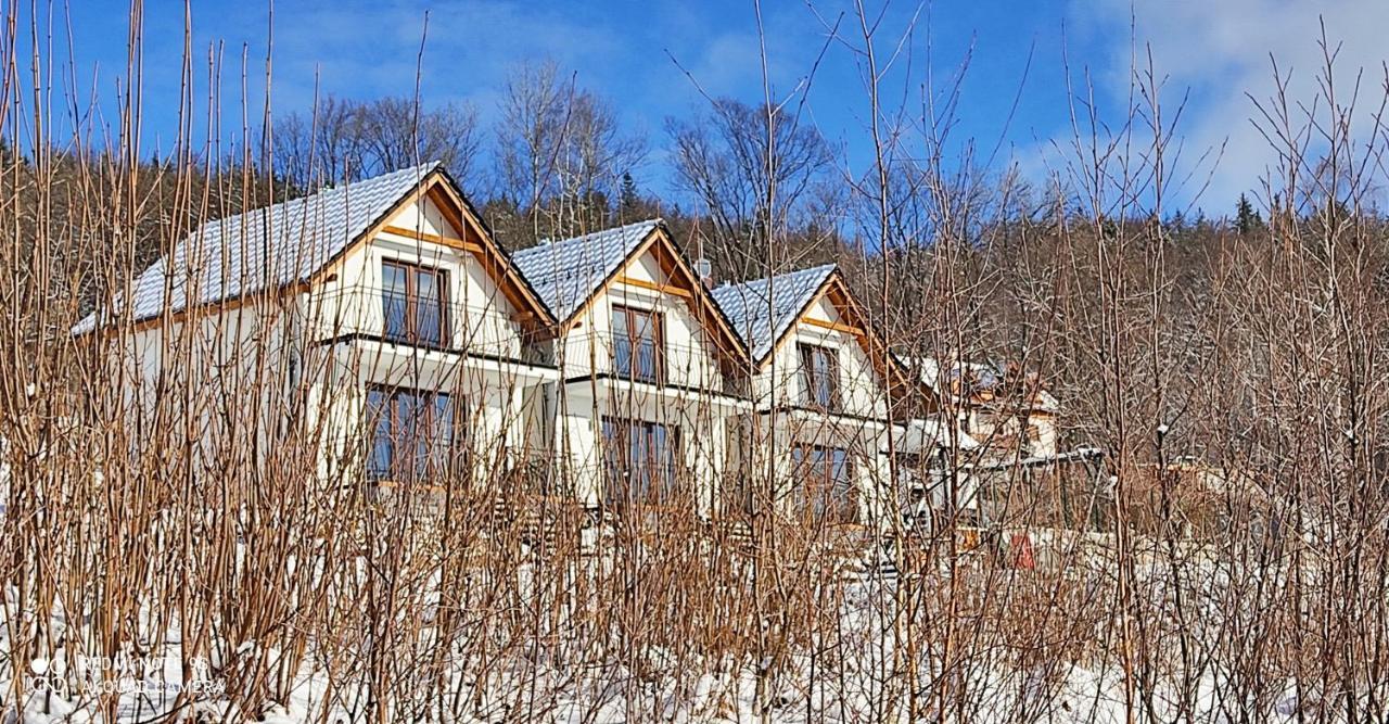 Domki Na Skale Z Widokiem Na Panorame Karkonoszy Villa Szklarska Poręba Buitenkant foto