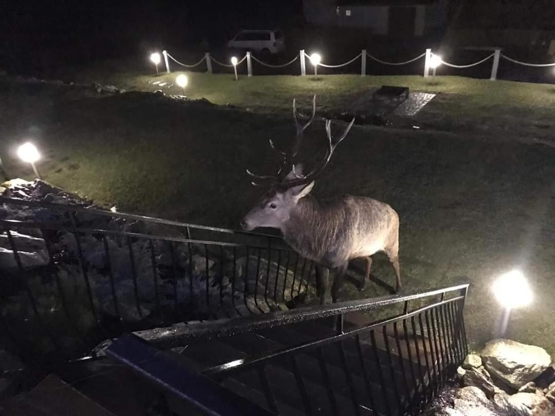 Domki Na Skale Z Widokiem Na Panorame Karkonoszy Villa Szklarska Poręba Buitenkant foto