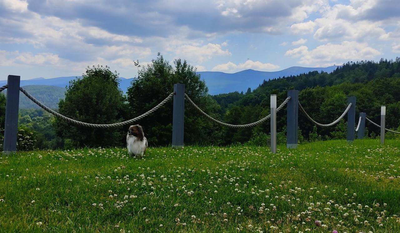 Domki Na Skale Z Widokiem Na Panorame Karkonoszy Villa Szklarska Poręba Buitenkant foto